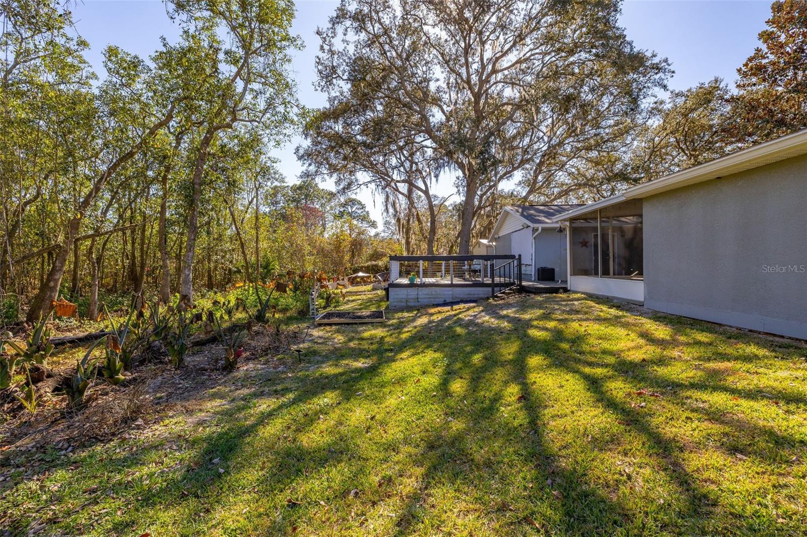 Image 38 of 47 For 204 Doe Drive