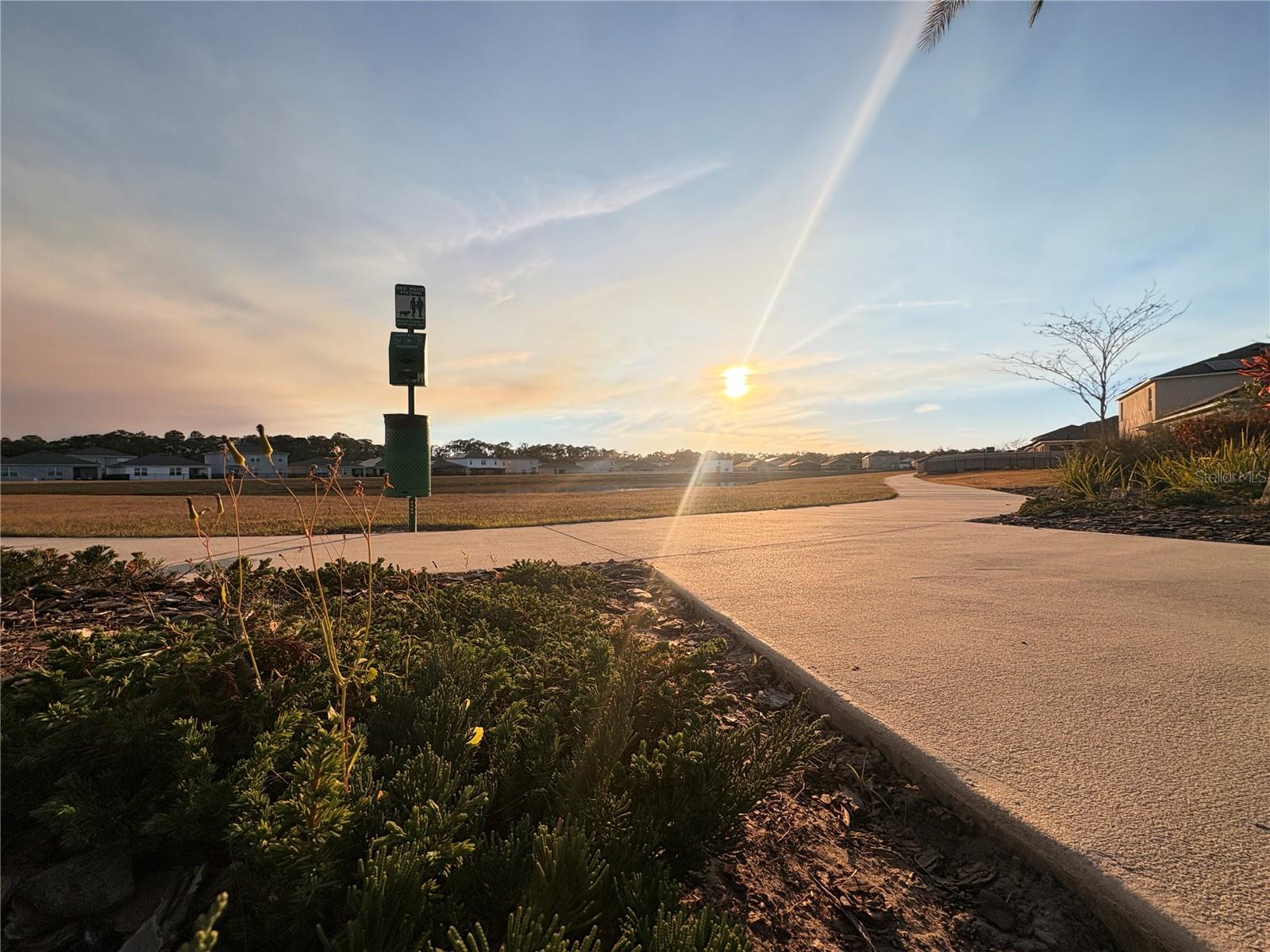 Image 48 of 59 For 456 Talisi Loop