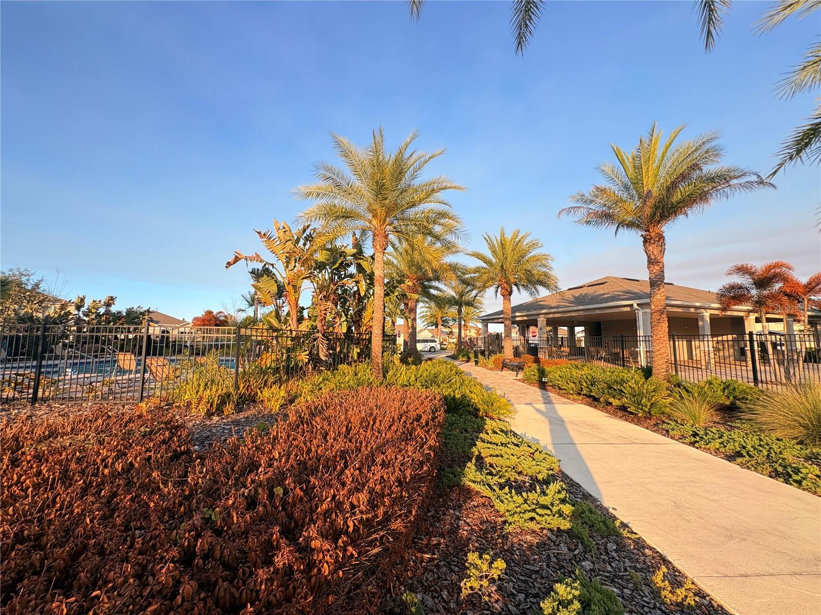 Image 49 of 59 For 456 Talisi Loop