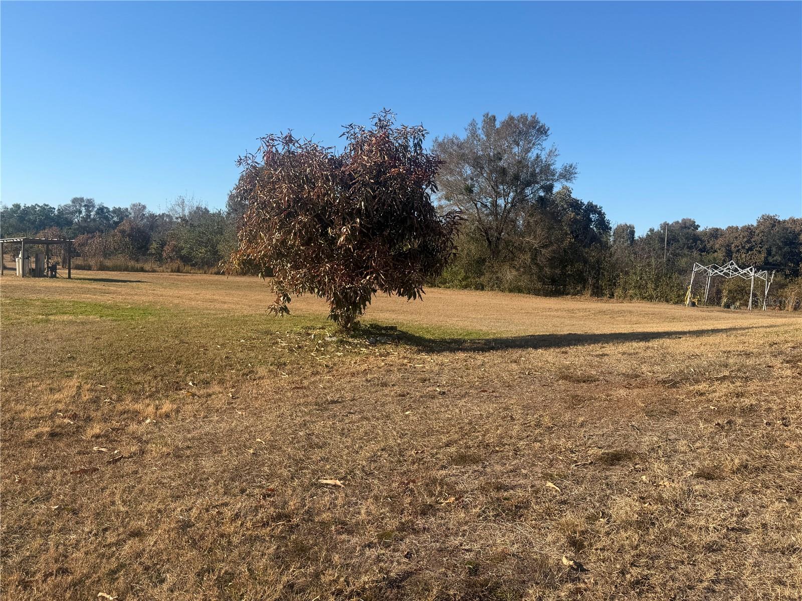 Image 6 of 28 For 3444 Packard Avenue