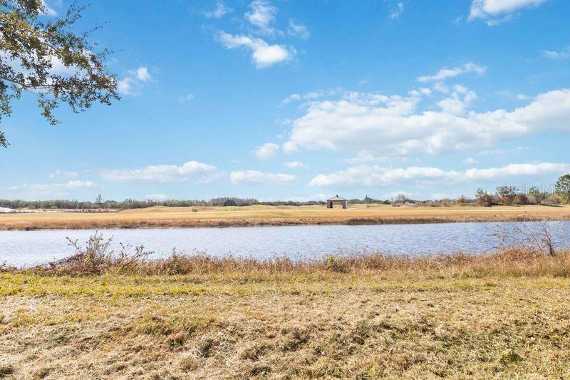 Image 41 of 42 For 5450 Silver Thistle Lane