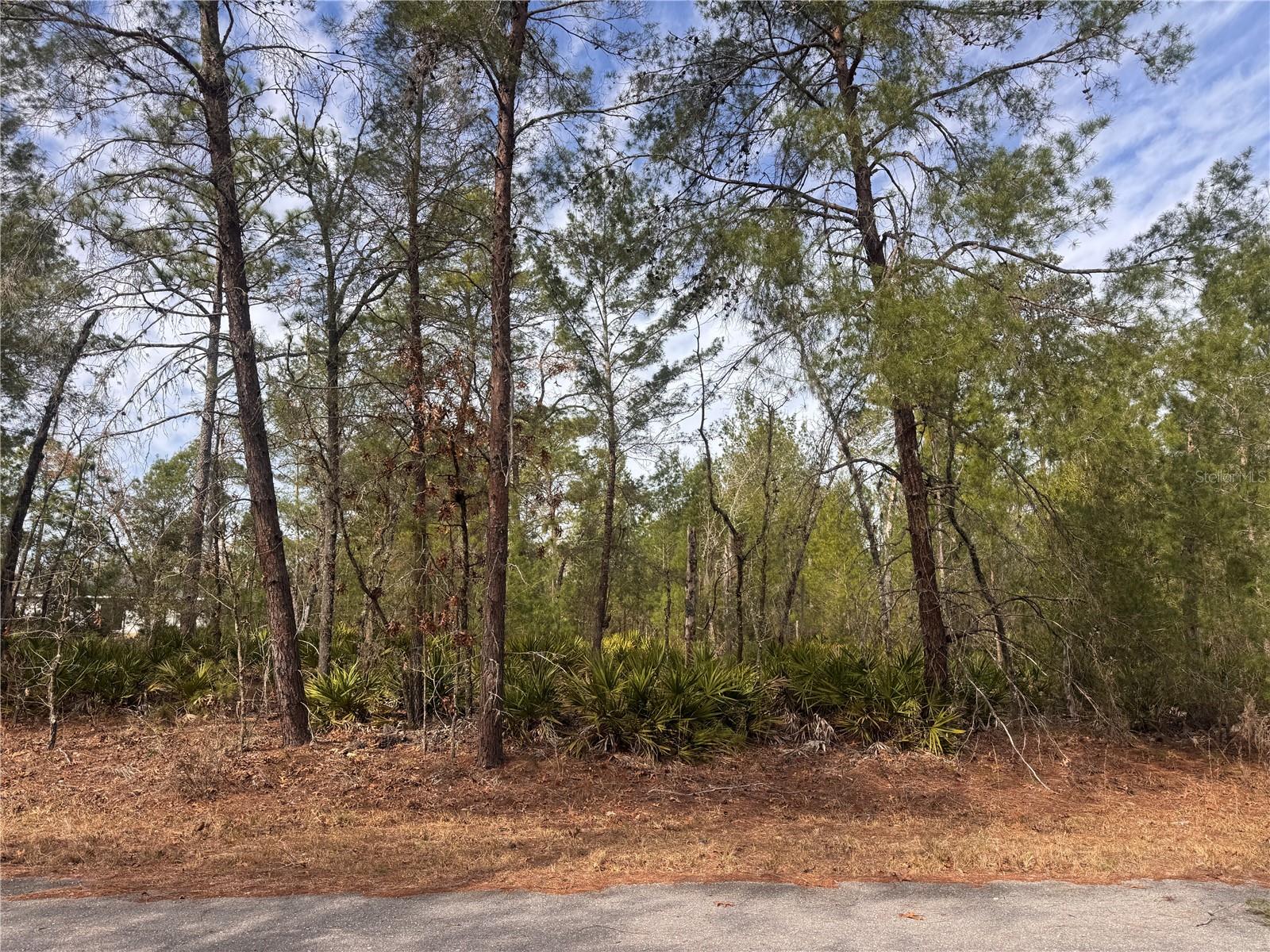 Details for Malauka Lane Pass, OCKLAWAHA, FL 32179