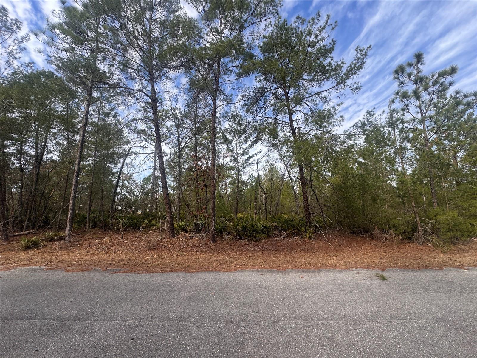 Image 8 of 9 For Malauka Lane Pass