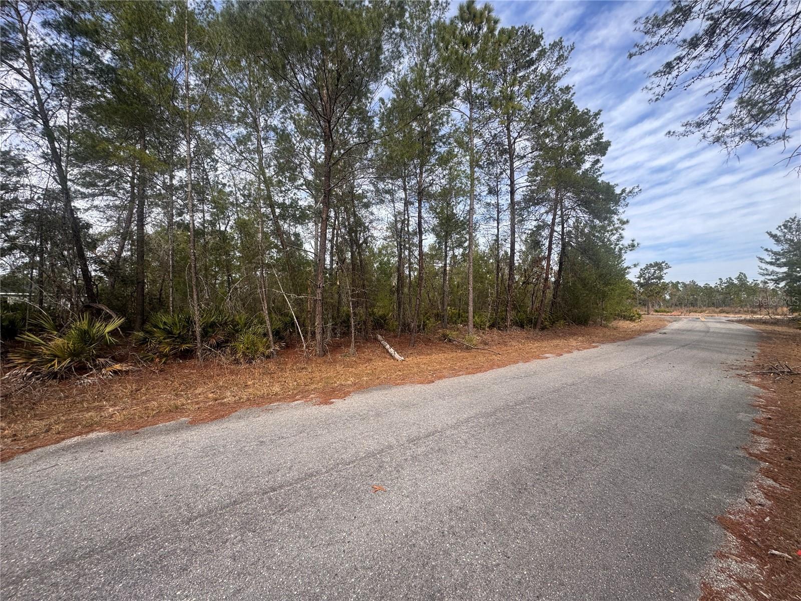 Image 9 of 9 For Malauka Lane Pass