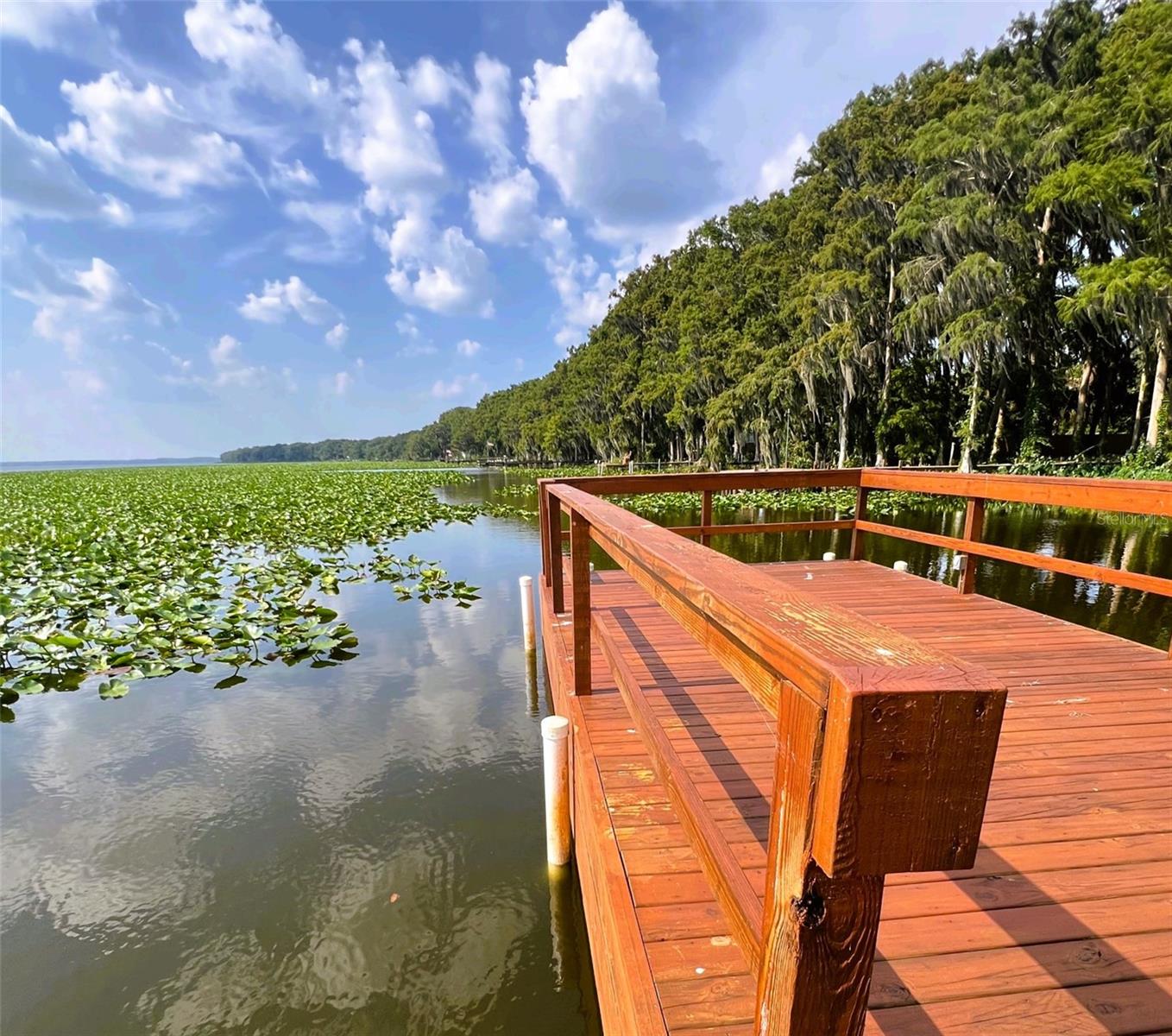 Image 35 of 39 For 15618 Us Highway 301