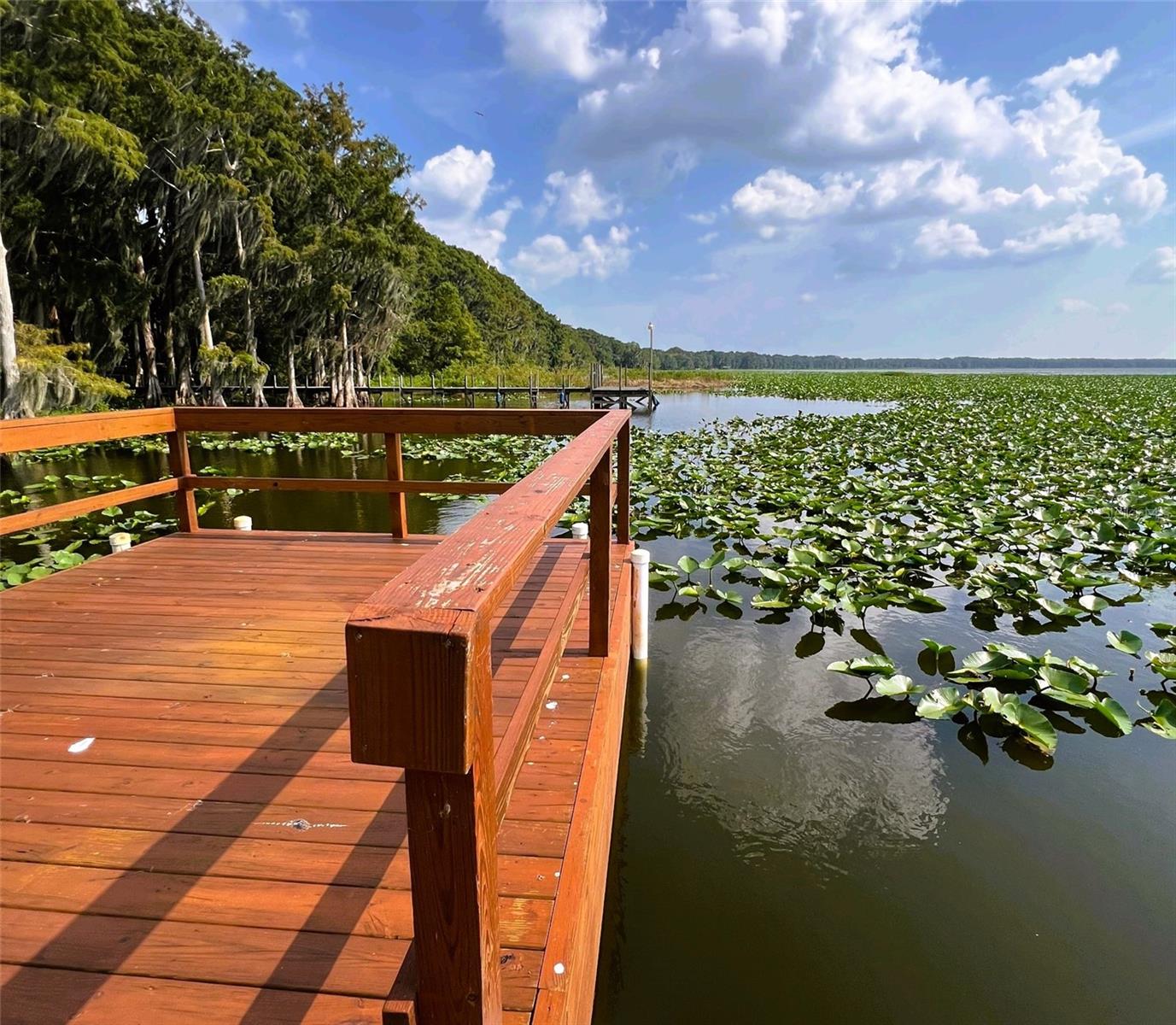 Image 36 of 39 For 15618 Us Highway 301