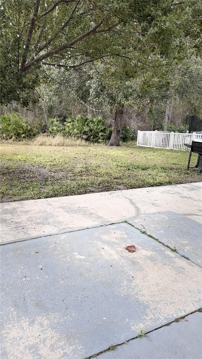 Image 11 of 16 For 1804 Palmeto Pine Lane