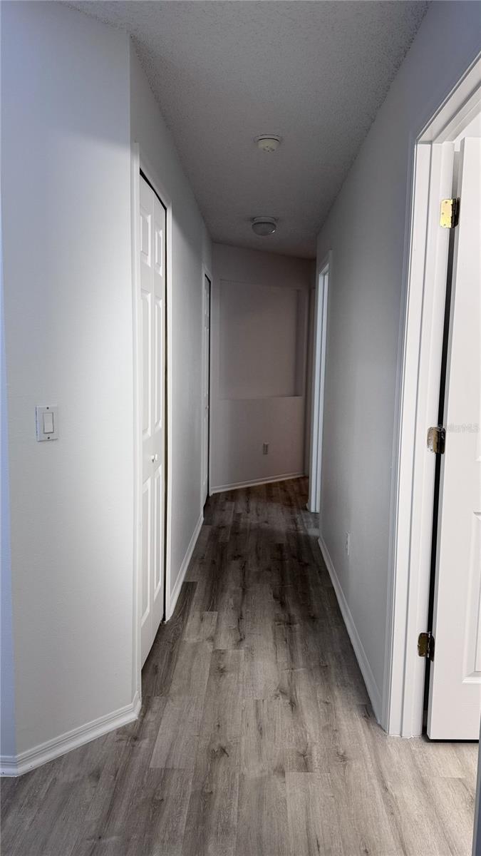 Image 2 of 16 For 1804 Palmeto Pine Lane