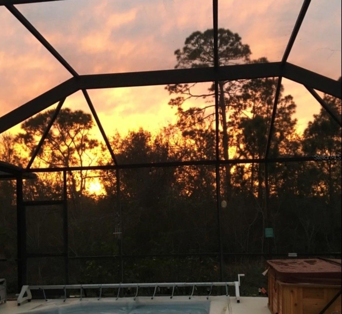 Image 41 of 47 For 2901 Sunset Vista Court