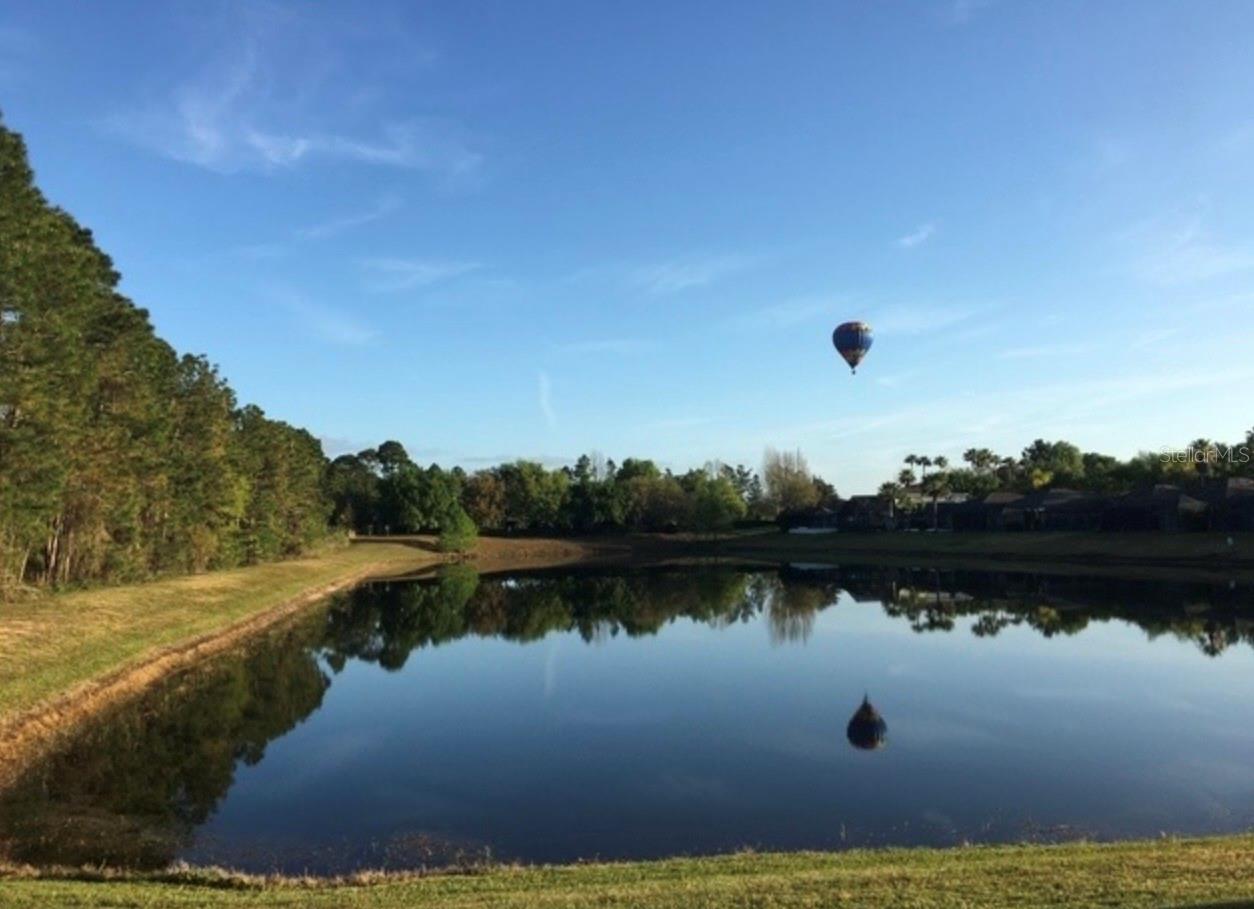 Image 44 of 47 For 2901 Sunset Vista Court