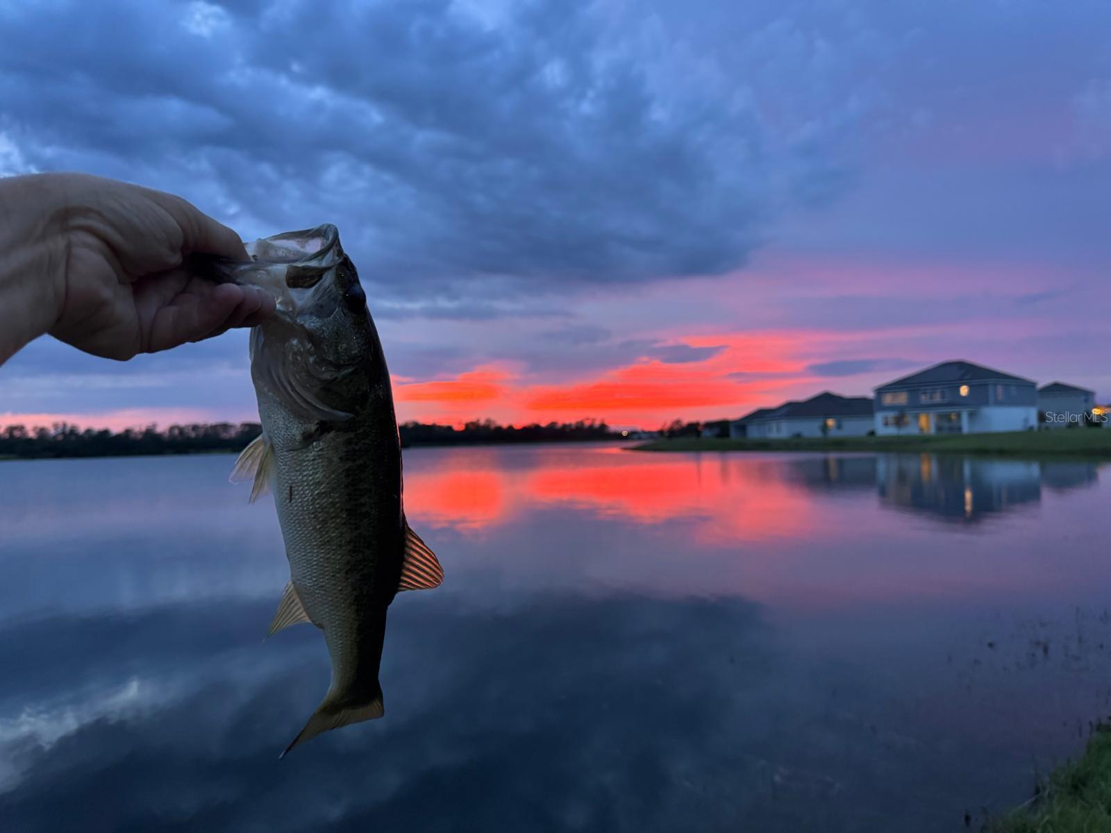 Image 3 of 17 For 3049 Ella Way