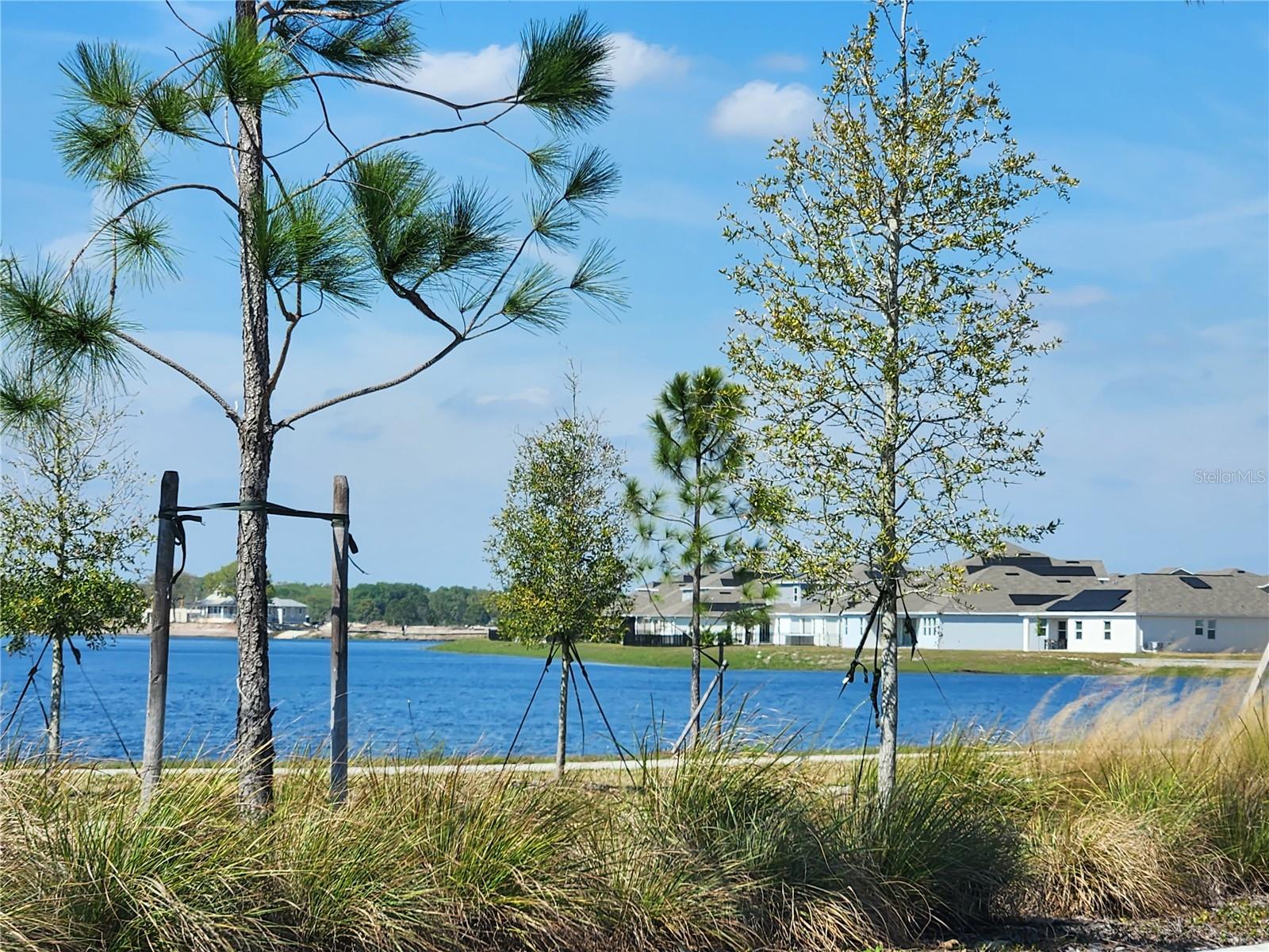 Image 6 of 17 For 3049 Ella Way