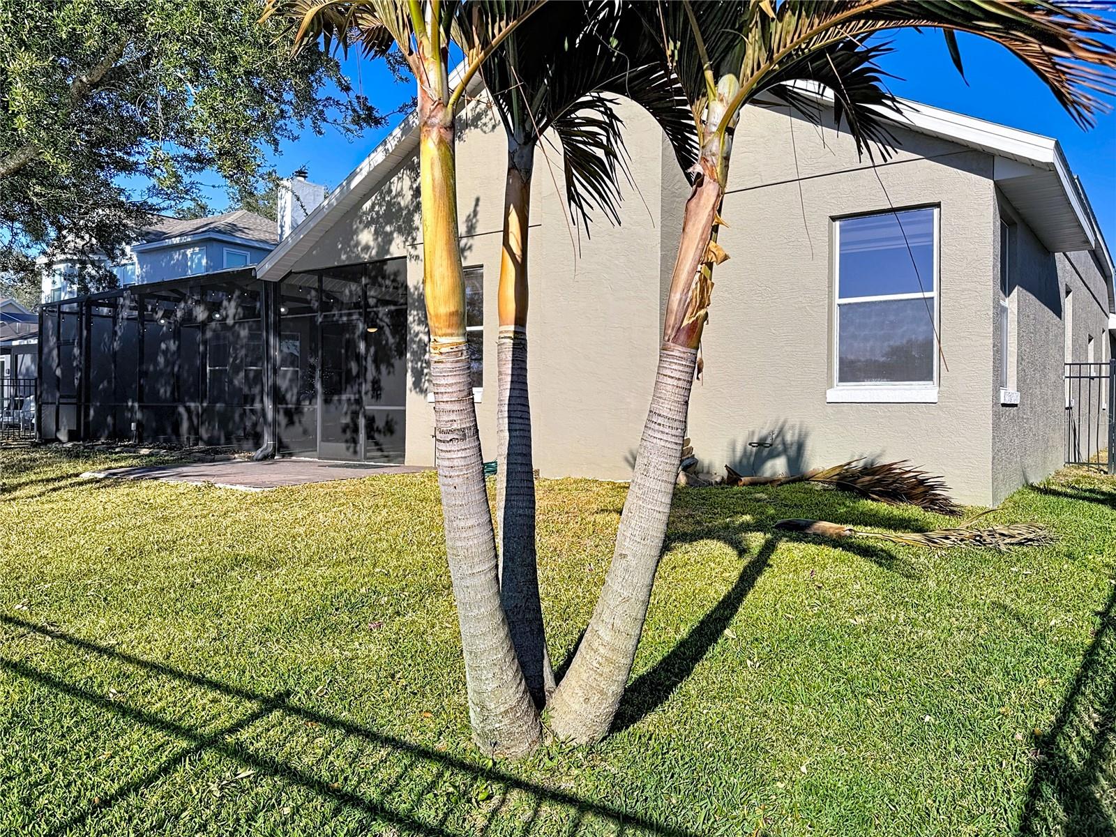 Image 60 of 82 For 14376 Lord Barclay Drive