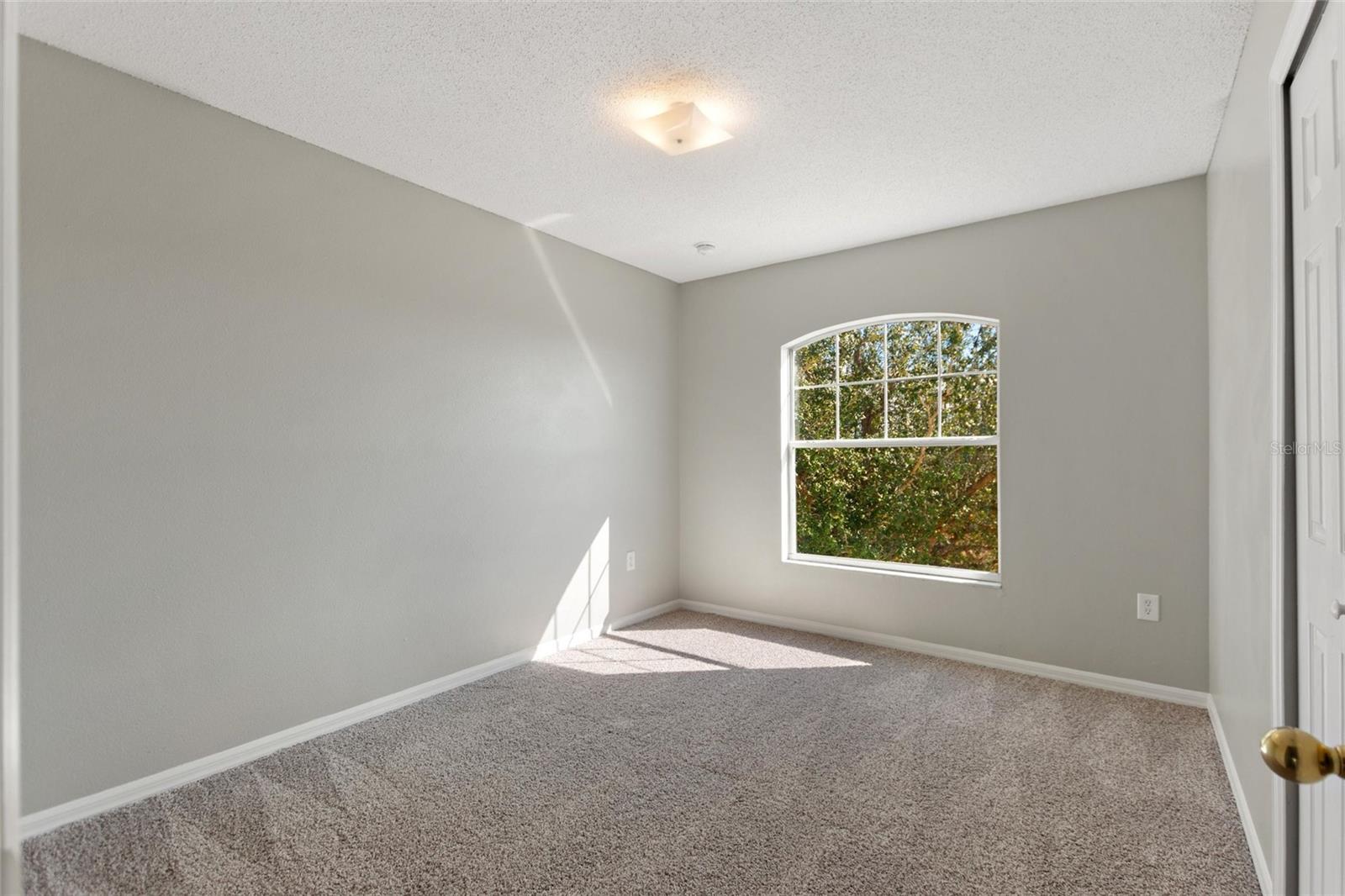 Image 29 of 39 For 101 Big Black Drive