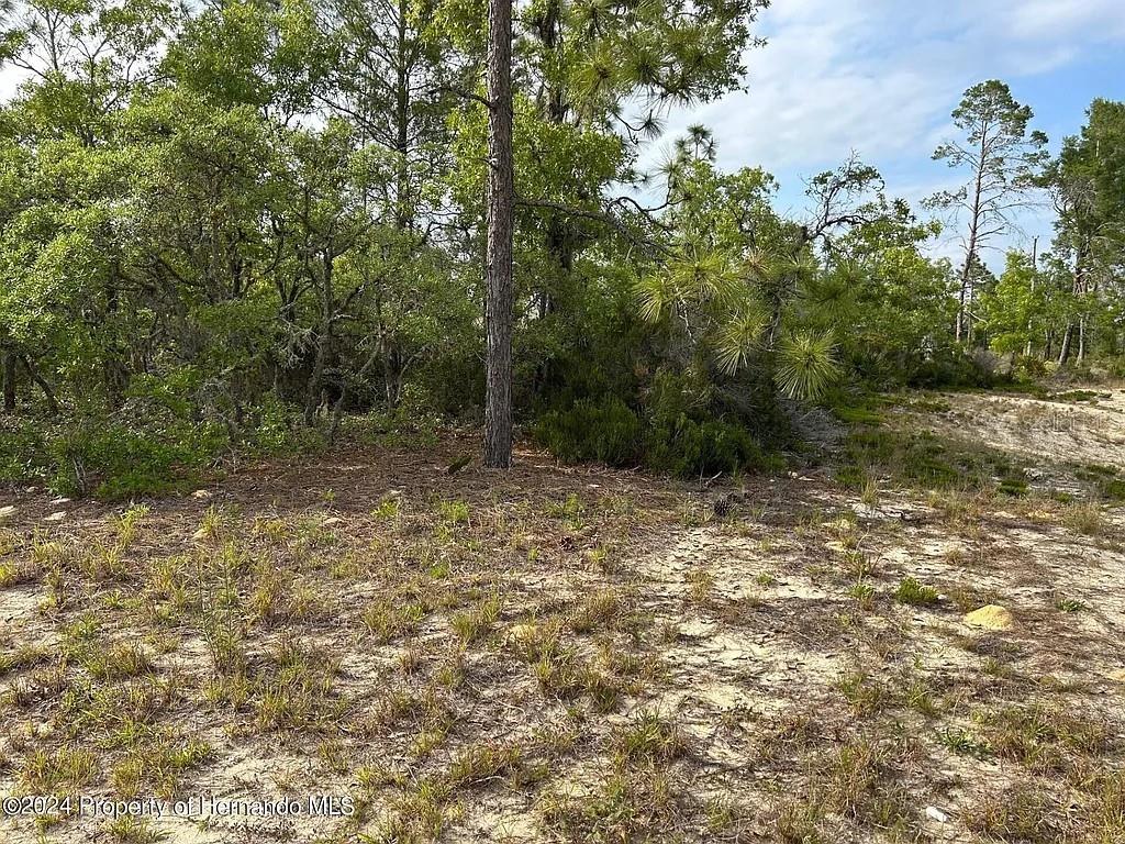 Image 3 of 3 For 2923 Pintado Drive