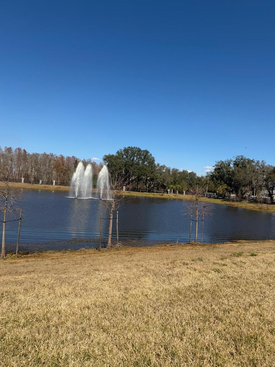 Image 25 of 29 For 11381 Nona Sound Street