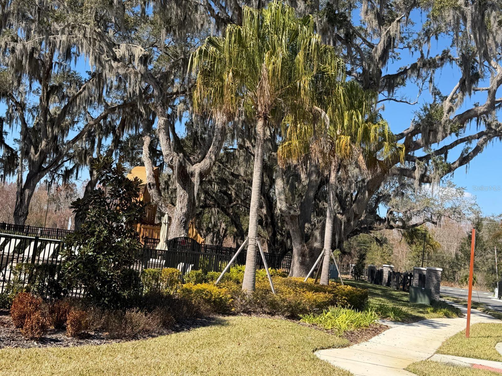 Image 27 of 29 For 11381 Nona Sound Street