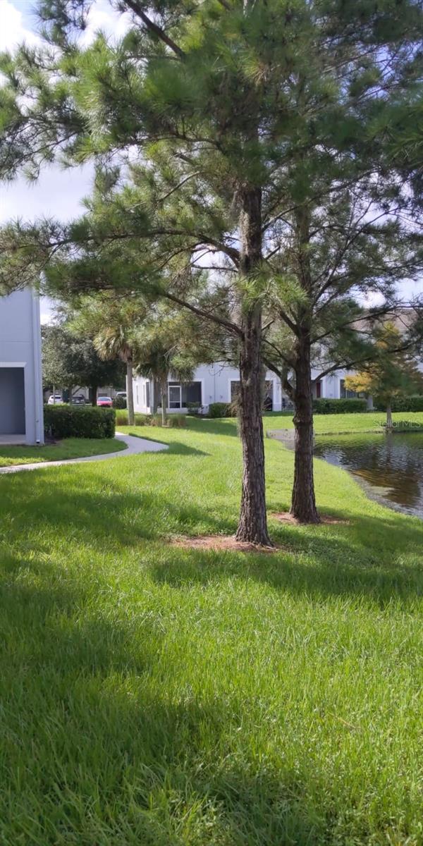 Image 25 of 31 For 10918 Savannah Wood Drive 10918