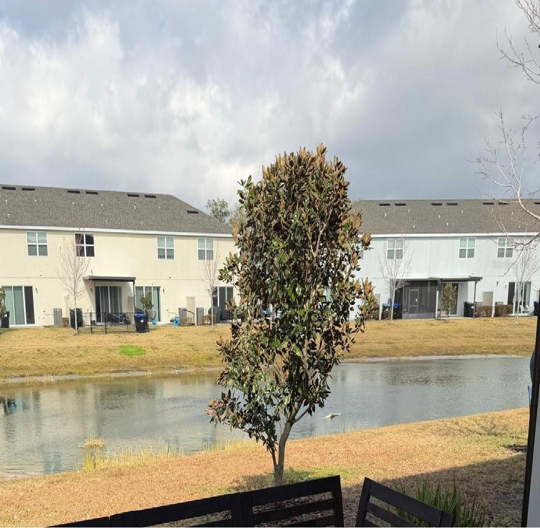 Image 2 of 31 For 10597 Salt Grove Street