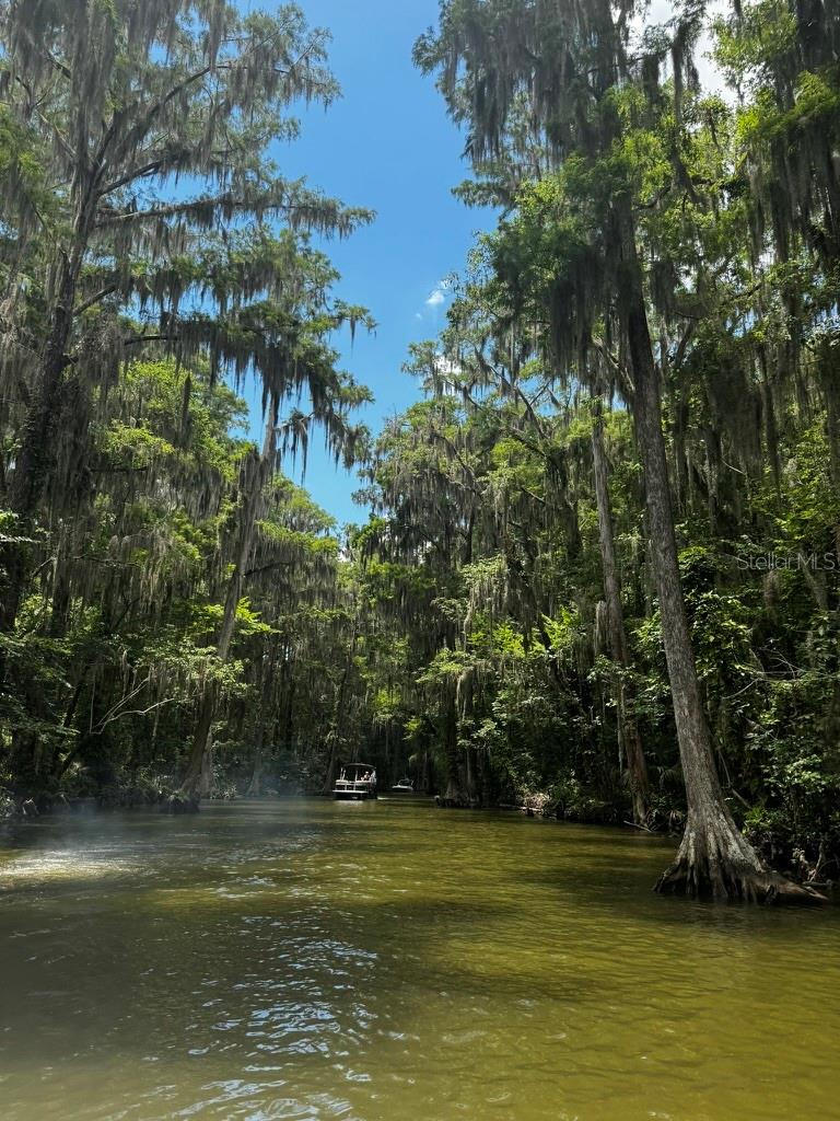 Image 24 of 25 For 3672 Hidden River Lane