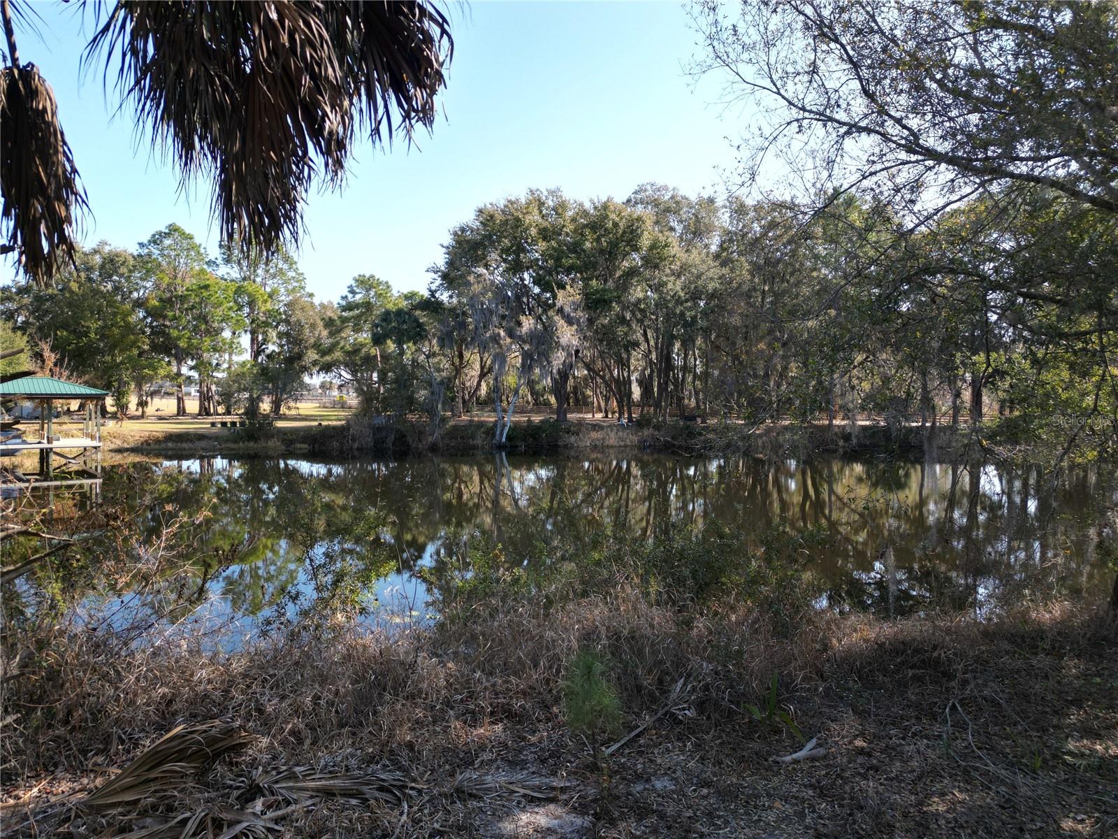 Image 5 of 25 For 3672 Hidden River Lane