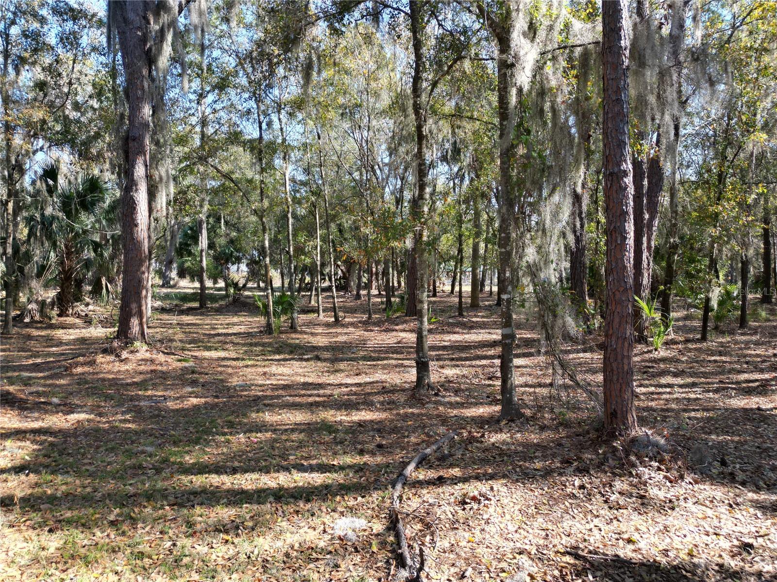 Image 7 of 25 For 3672 Hidden River Lane