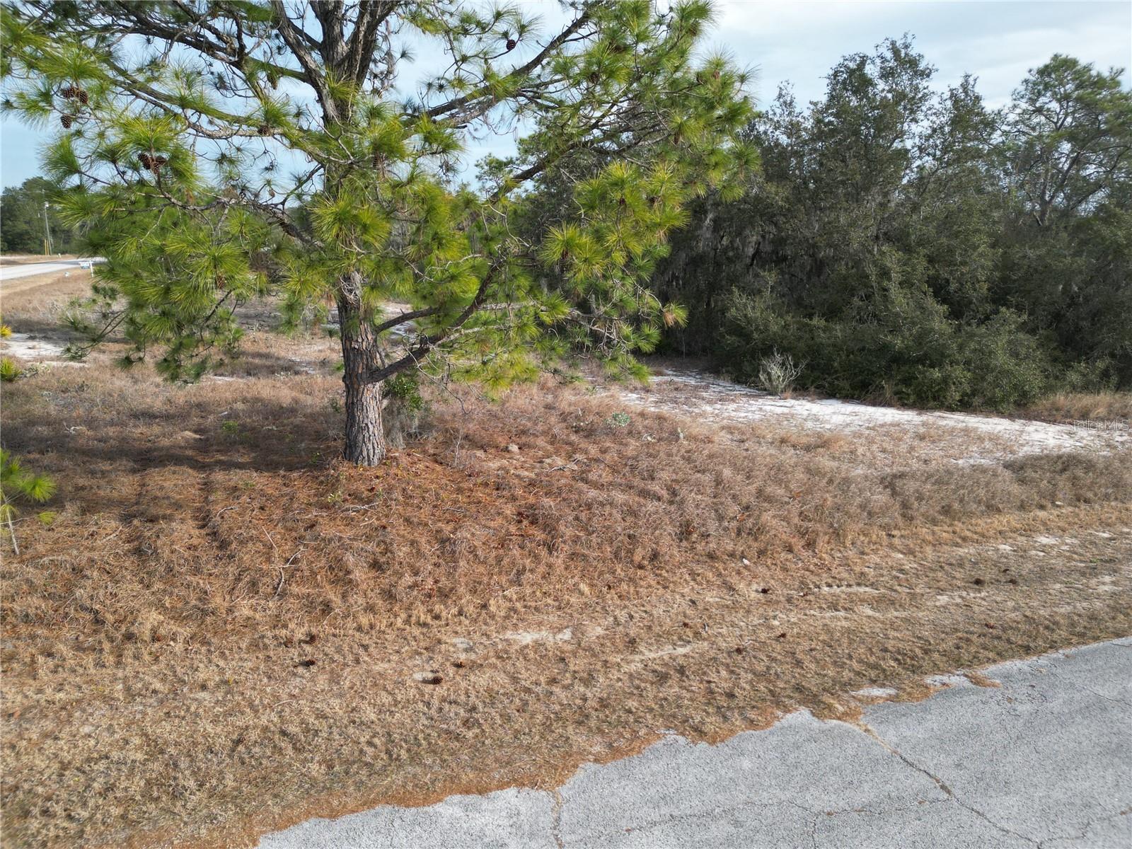 Image 2 of 11 For 1319 Hillsborough Lane
