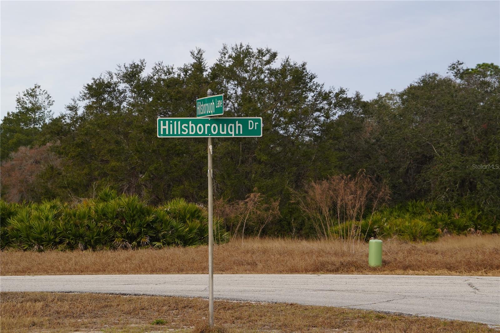 Image 5 of 11 For 1319 Hillsborough Lane