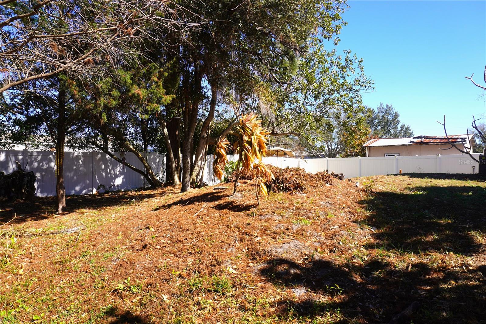 Image 12 of 35 For 3605 Late Morning