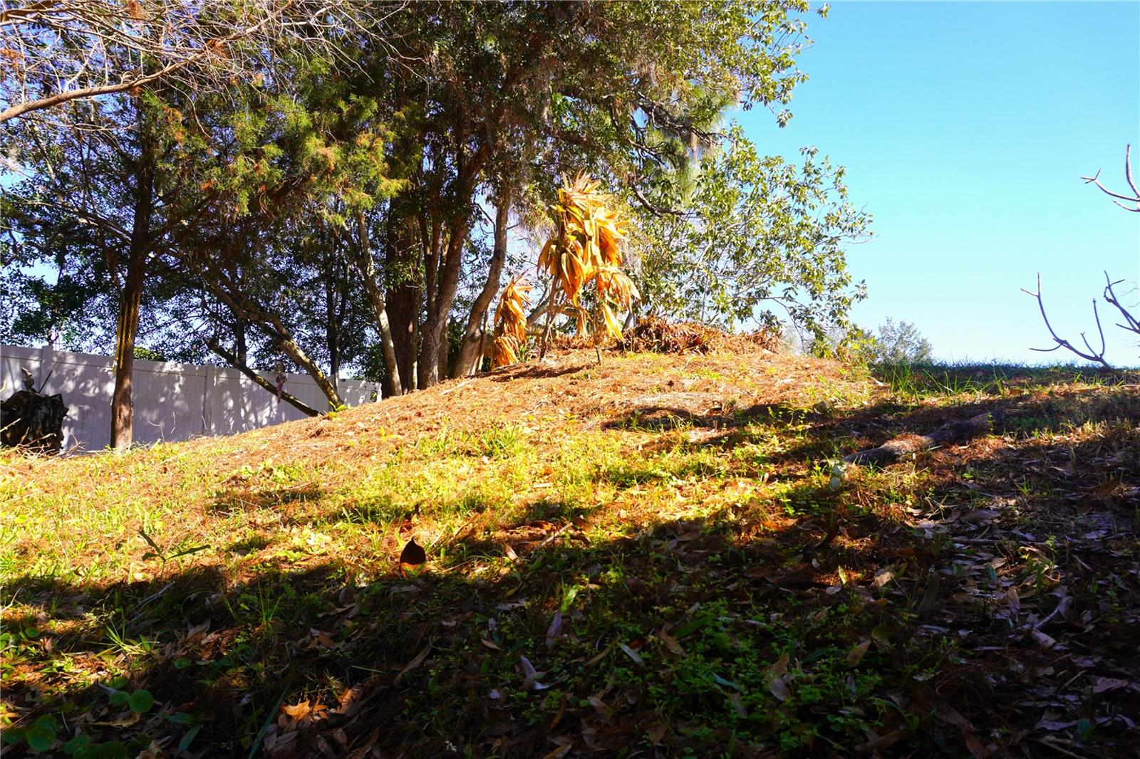 Image 13 of 35 For 3605 Late Morning