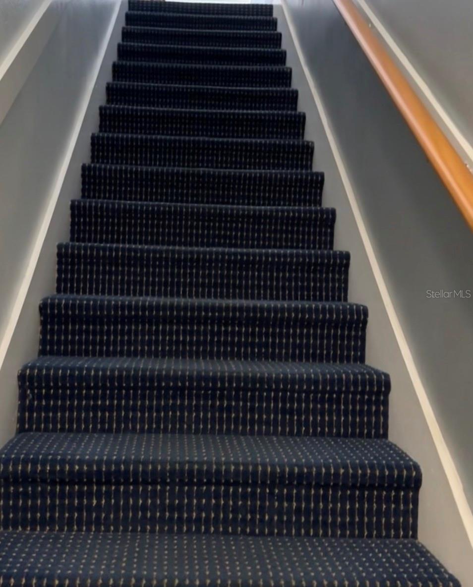 Image 6 of 27 For 5006 Mangrove Alley 201