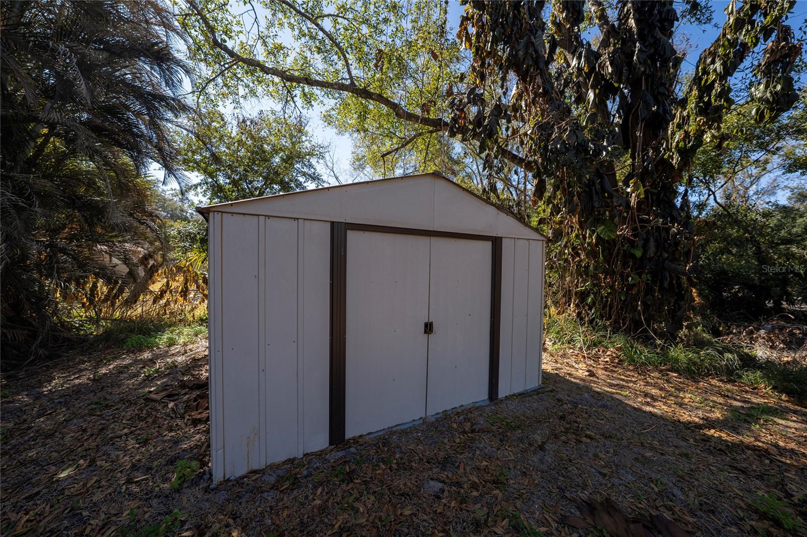 Image 18 of 26 For 328 Cypress Street