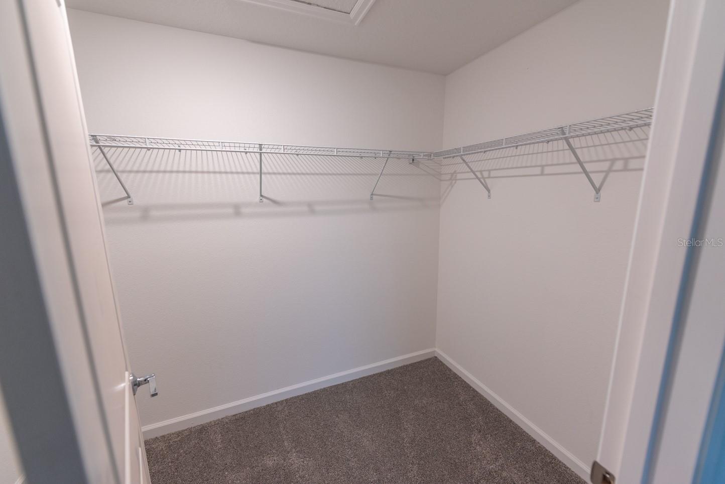 Image 13 of 26 For 2990 Aqua Virgo Loop 10