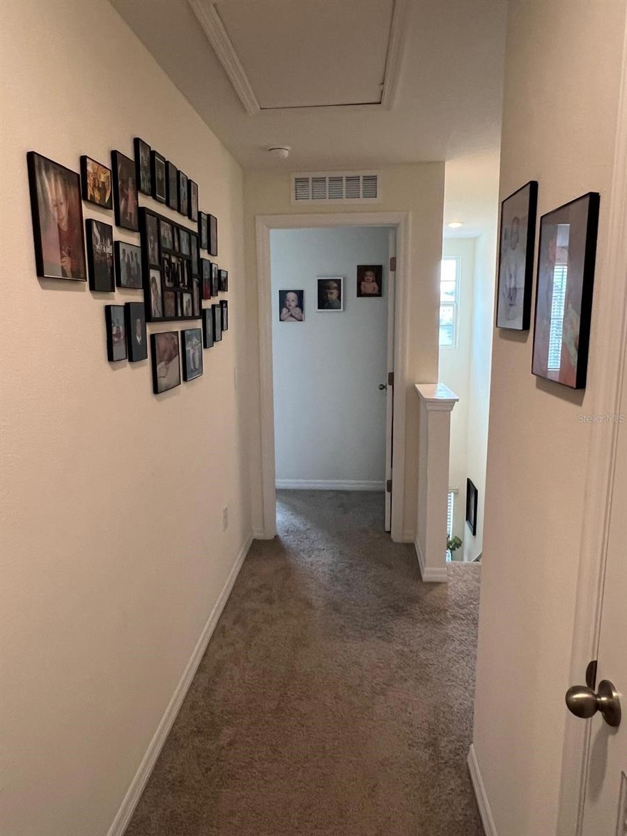 Image 3 of 11 For 2755 Brie Hammock Bend