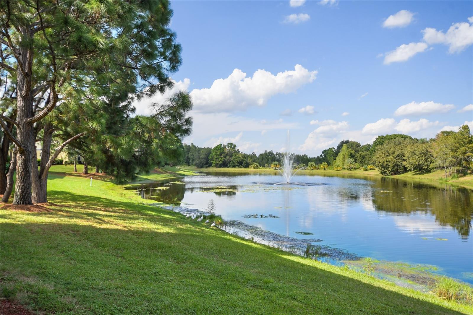 Image 5 of 45 For 8817 Dunes Court 102