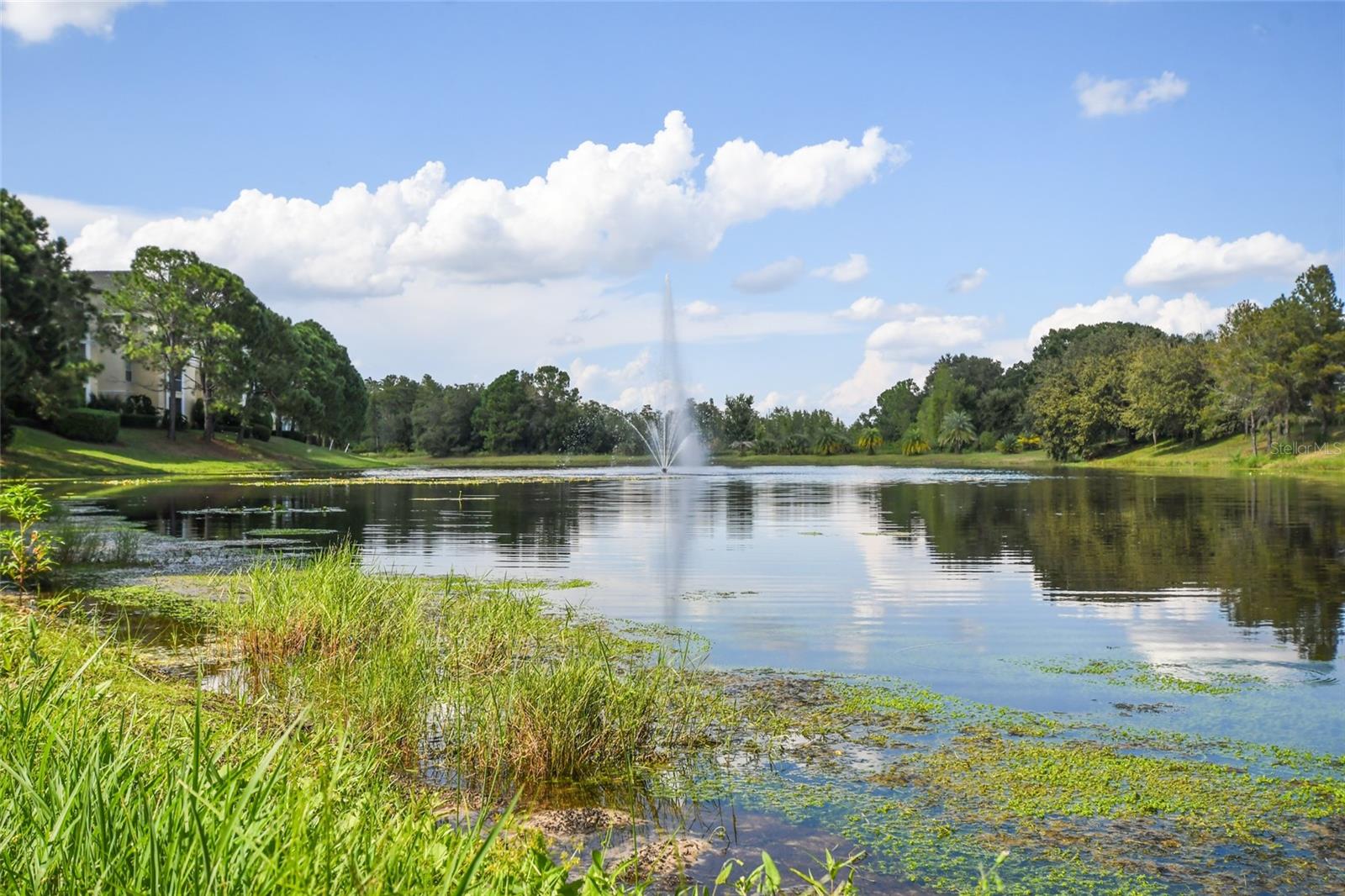 Image 6 of 45 For 8817 Dunes Court 102