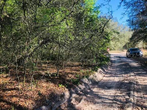 Details for Oakridge Drive, LADY LAKE, FL 32159