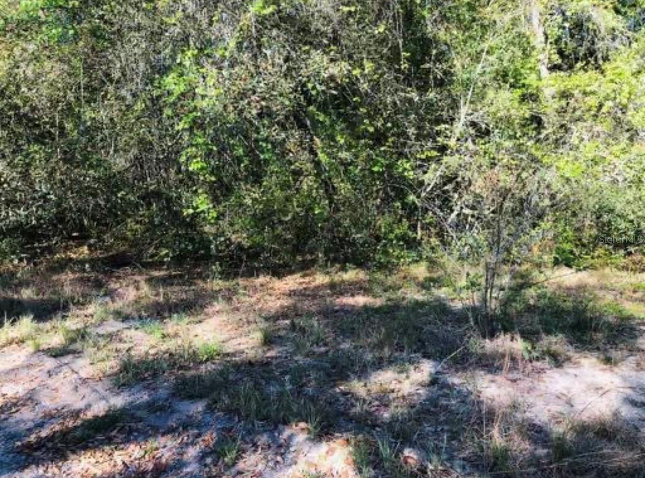 Image 2 of 3 For Oakridge Drive