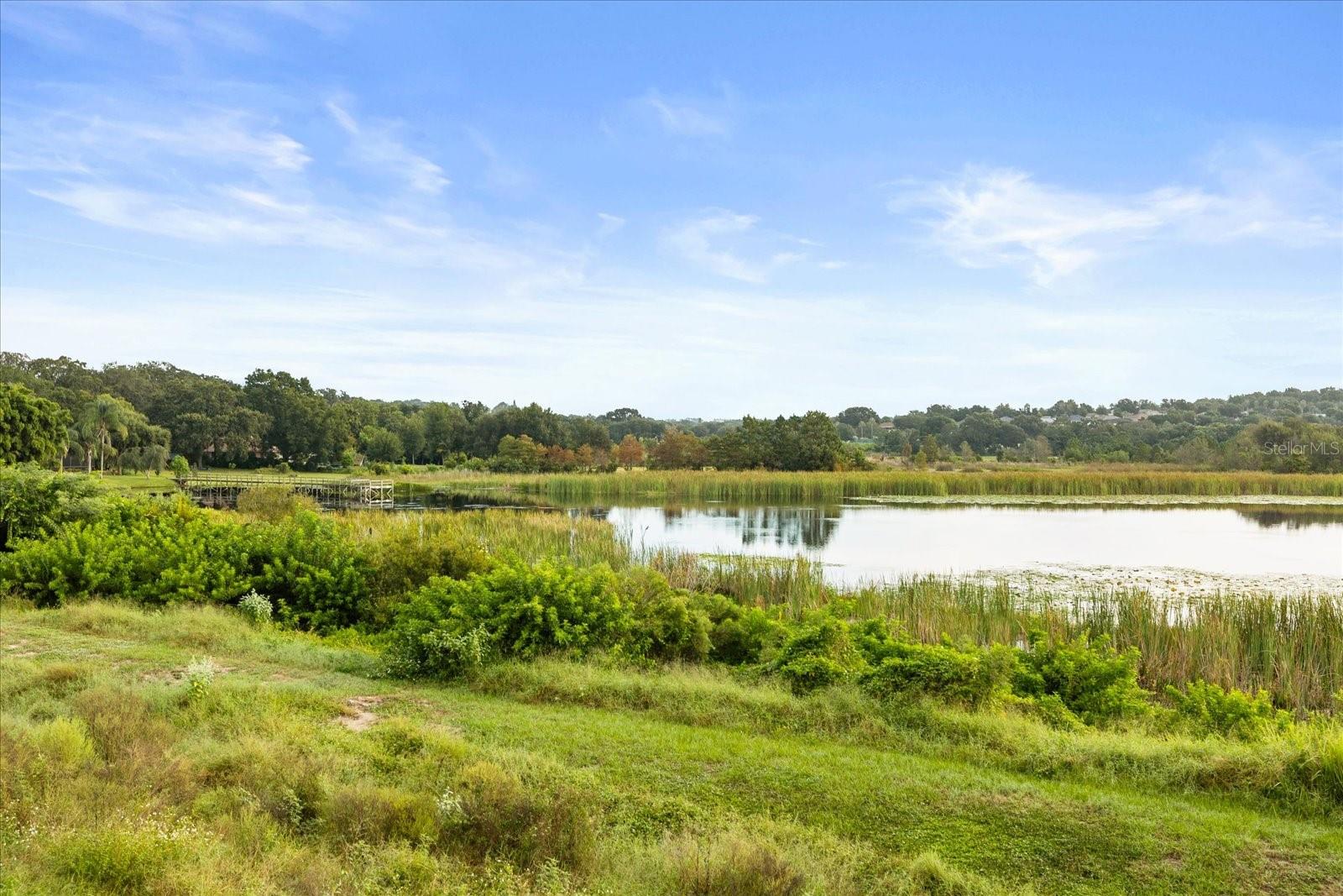 Image 25 of 28 For 925 Lakefront Village Drive