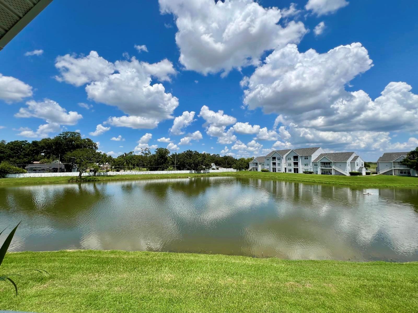 Image 4 of 22 For 1213 Bermuda Lakes Lane 208