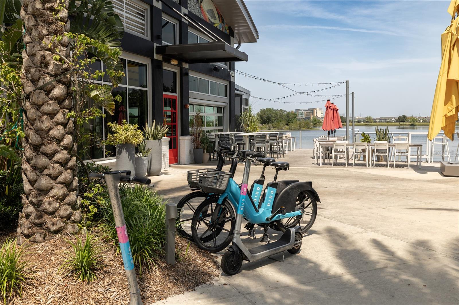 Image 10 of 51 For 8268 Bellow Street