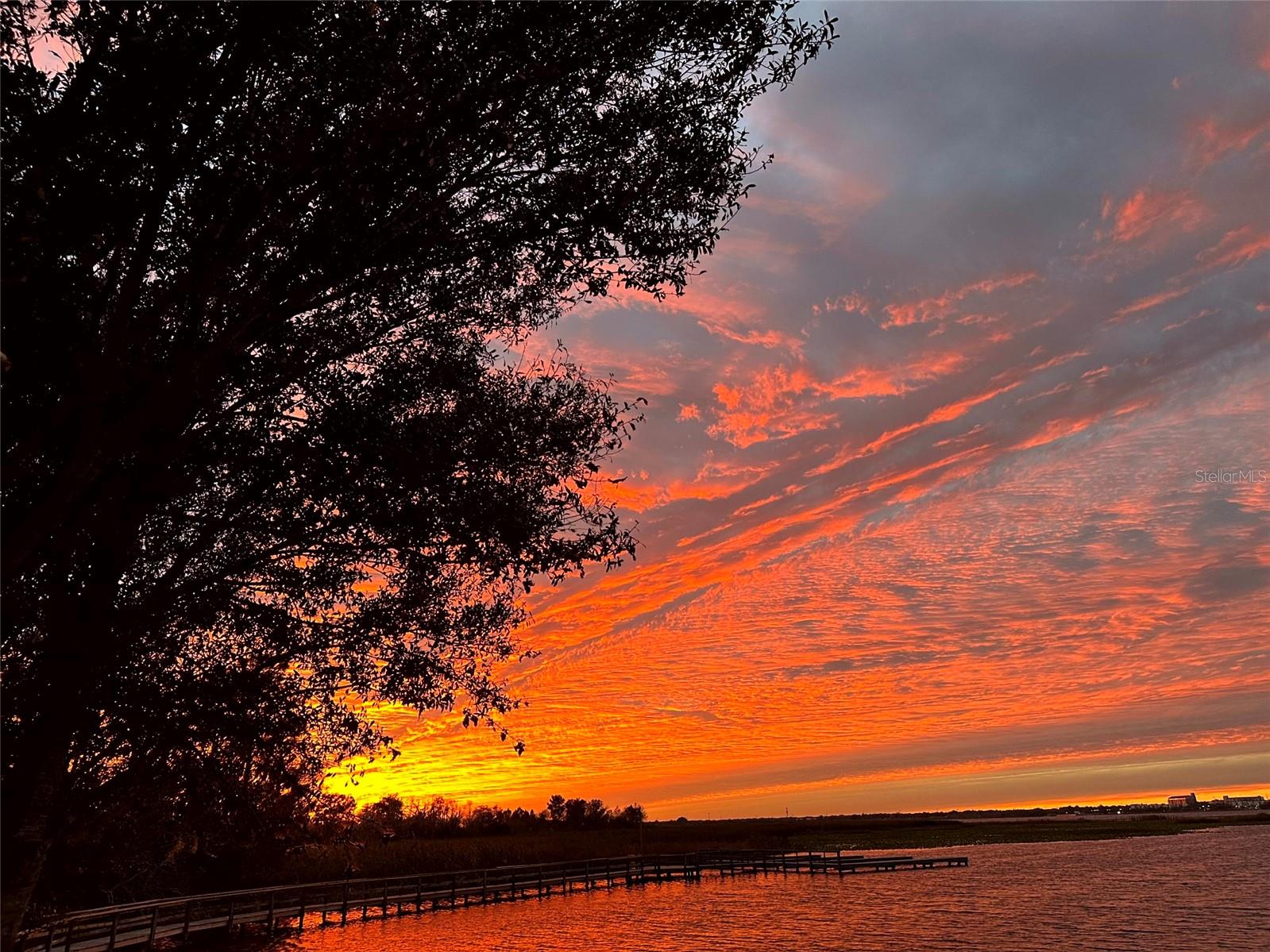 Details for 1501 Sunset Pointe Place, KISSIMMEE, FL 34744