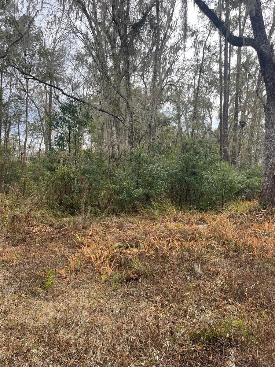 Details for  Ward Avenue , BROOKSVILLE, FL 34601