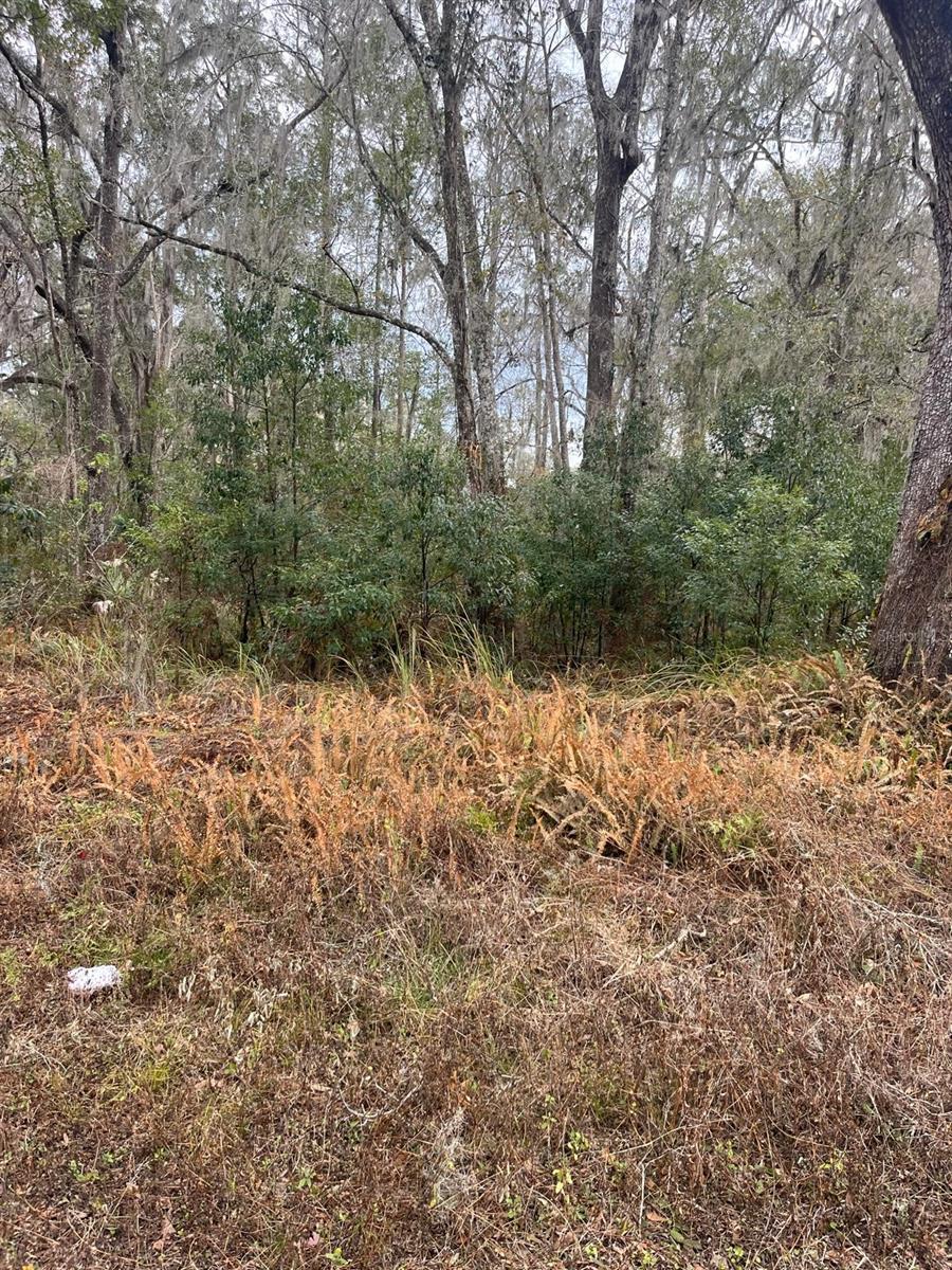 Image 2 of 4 For  Ward Avenue 