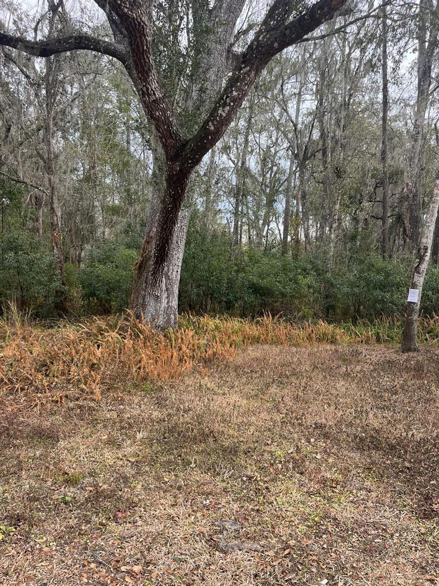 Image 3 of 4 For  Ward Avenue 