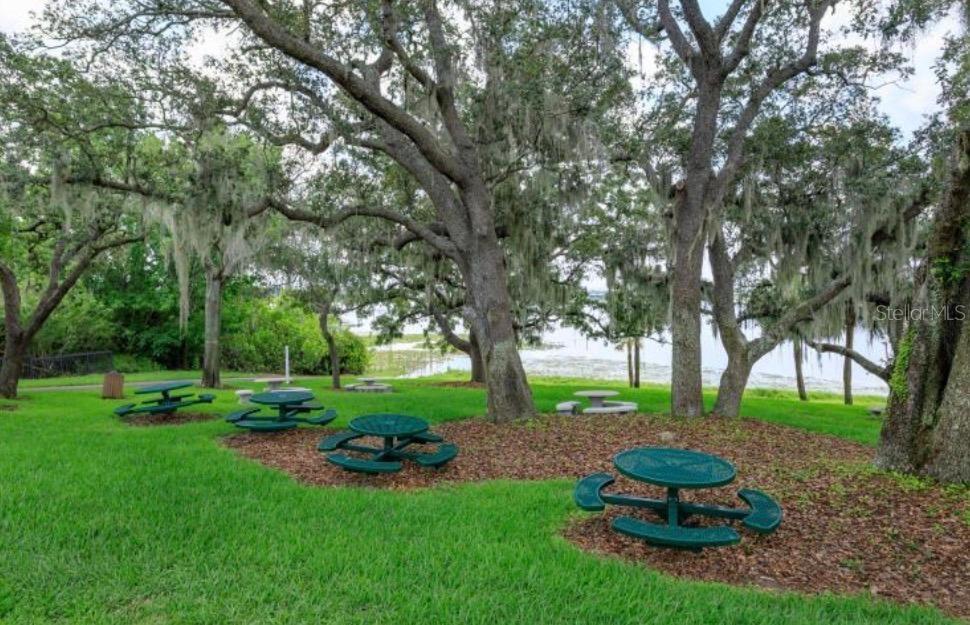 Image 50 of 56 For 8019 Madeira Court