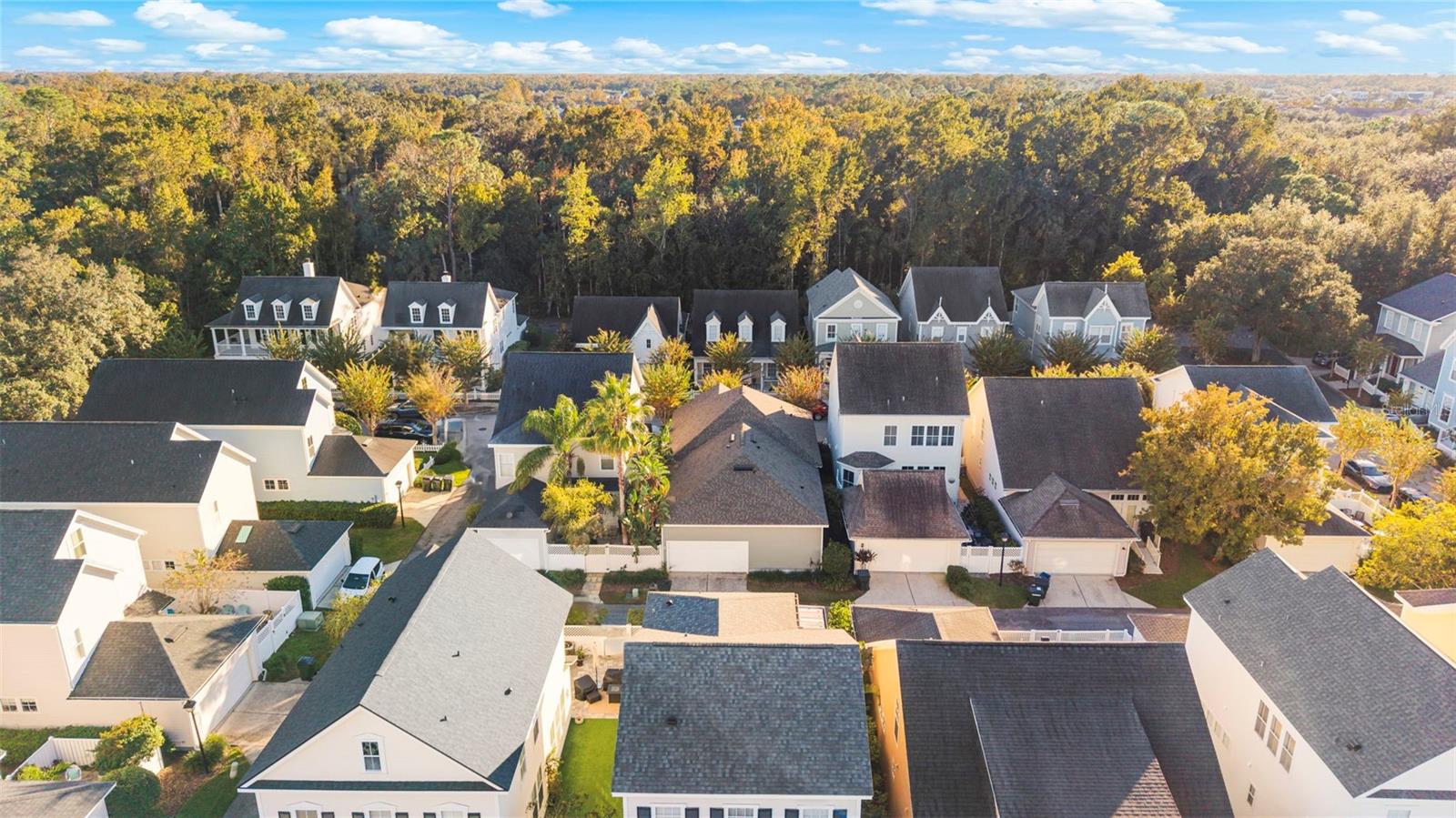 Image 24 of 25 For 834 Lake Evalyn Drive