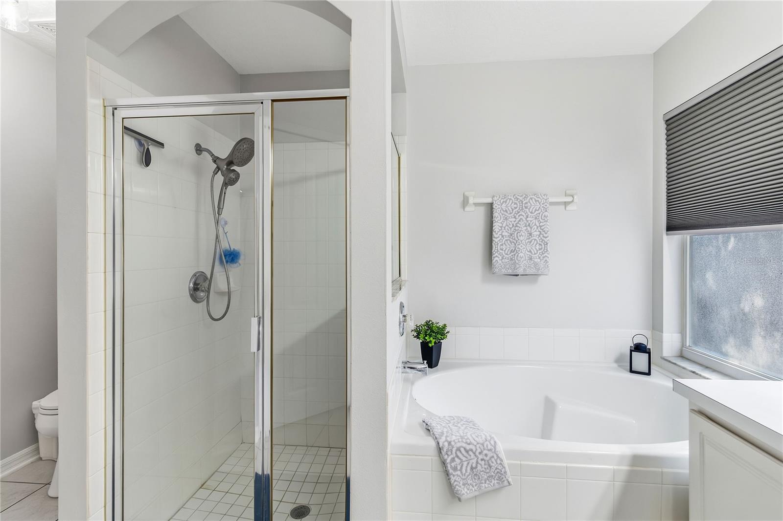 Image 28 of 59 For 4250 Andover Cay Blvd.