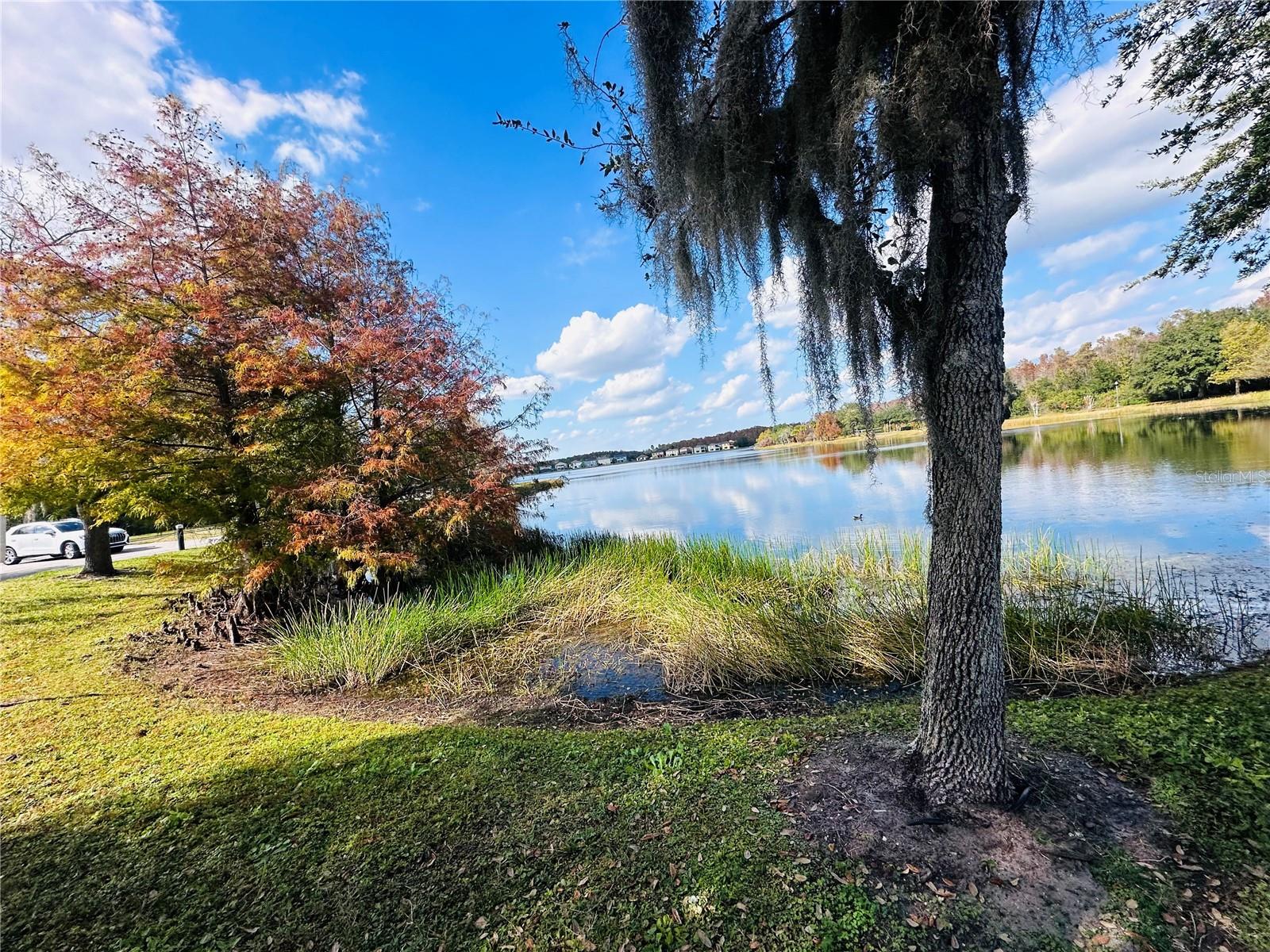 Image 38 of 43 For 10801 Spider Lily Drive 28b