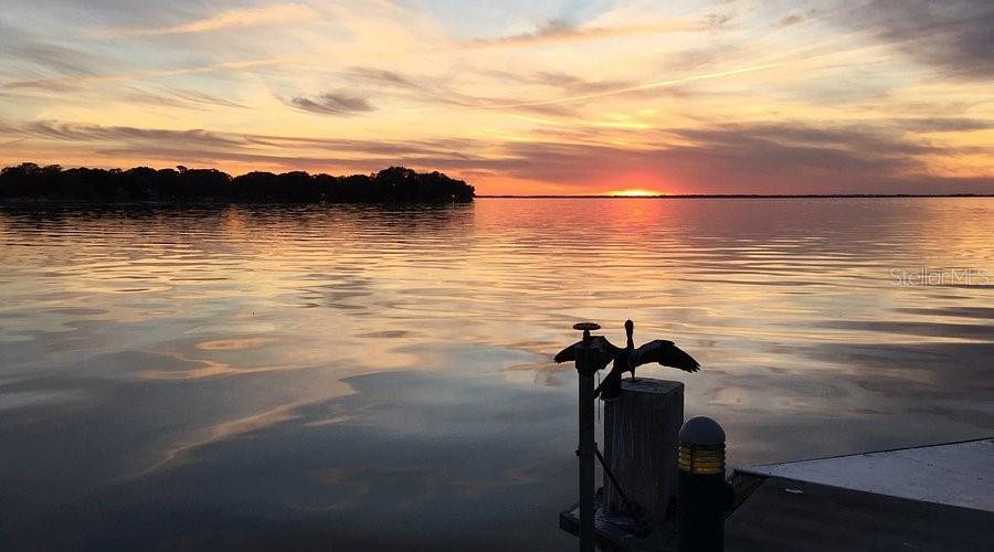 Image 37 of 38 For 2014 Bates Avenue